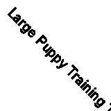 Large Puppy Training Trainer Train Pads Toilet Pee Wee Poo Dog Pet Cat Mats LOT